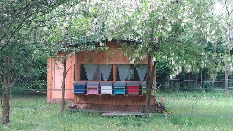 Lo Chalet delle Api - Apiario del Benessere Borgo d'Ale photo