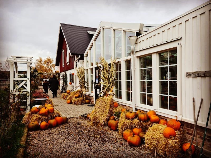 Lögnäsgård Spa Och Hälsa Laholm photo