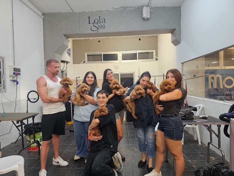 Lola spa Santa Catarina photo