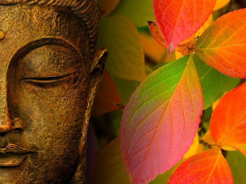 Long Life Thai Massage & Spa Scherpenheuvel-Zichem photo