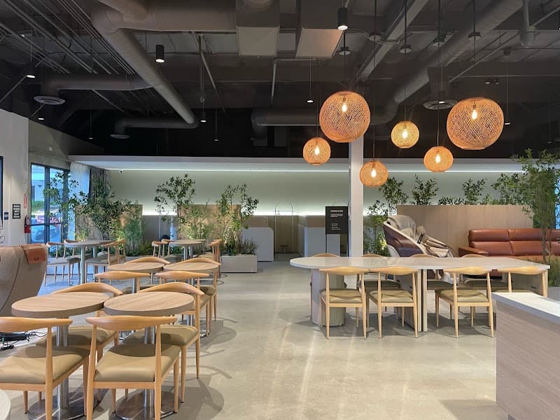 Los Angeles Ceragem photo