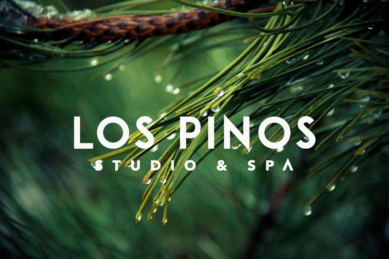 Los Pinos Studio Y Spa Saltillo photo