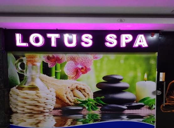 Lotus Body Spa Ludhiana photo