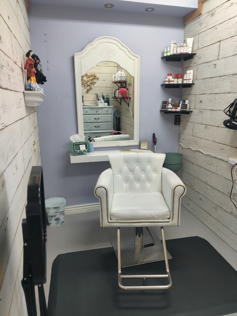 Lotus Hair Spa Meridian photo