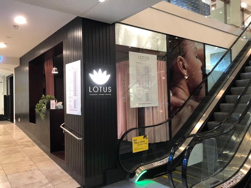 Lotus Massage Wellington photo