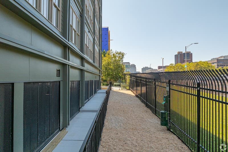 Lotus Palms Wellness Center Philadelphia photo