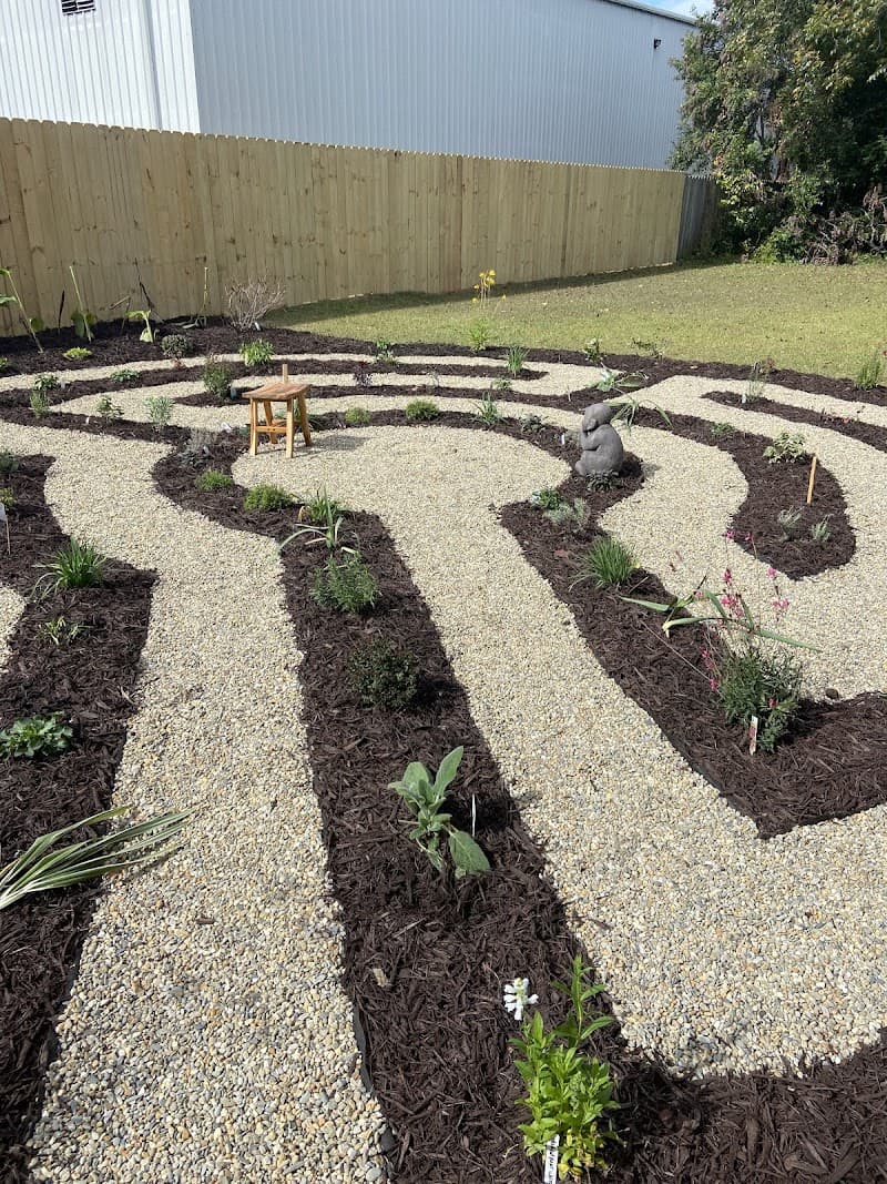 Lotus Roots West Columbia photo