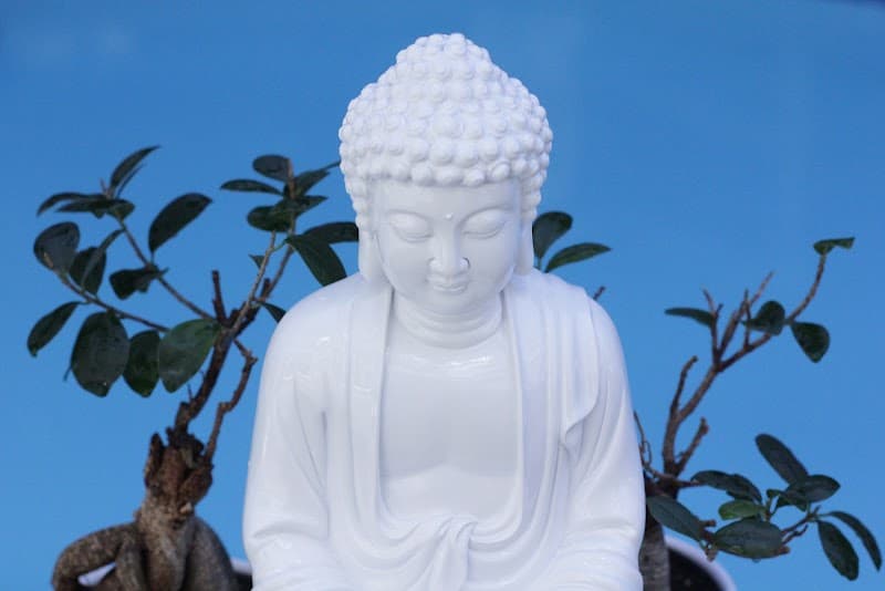 Lotus Spa & Lounge Whistler photo