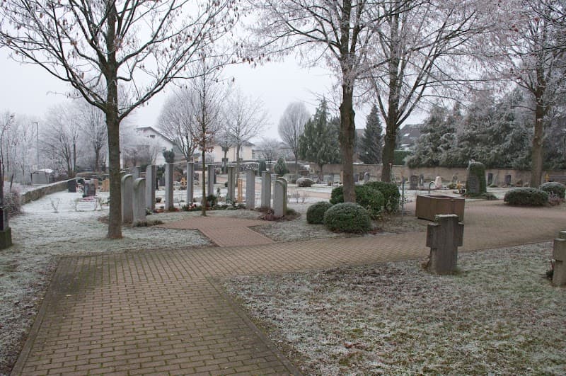 Lotusbluete Nussbaum Neulingen photo