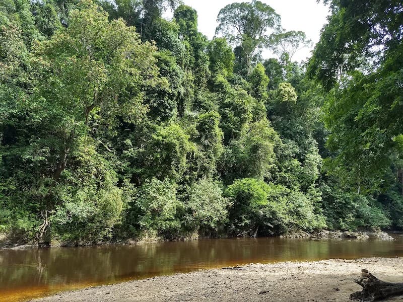 Lubuk Simpon Kuala Tahan photo