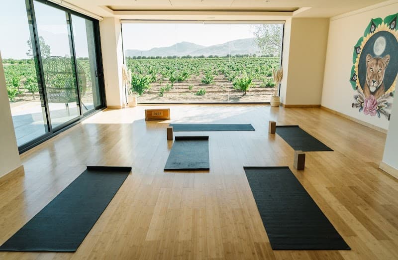 Luna de Sol Baja Valle de Guadalupe photo