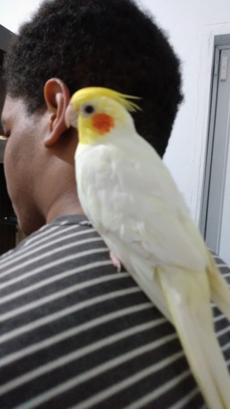 Luna's Coiffeur Praia Grande photo