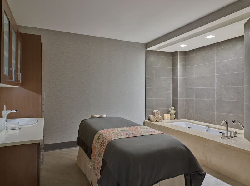 Lupine Alpine Spa Snowmass Village photo