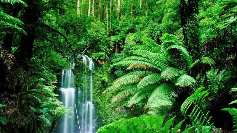 Luscious Boutique Skin Spa Nowra photo