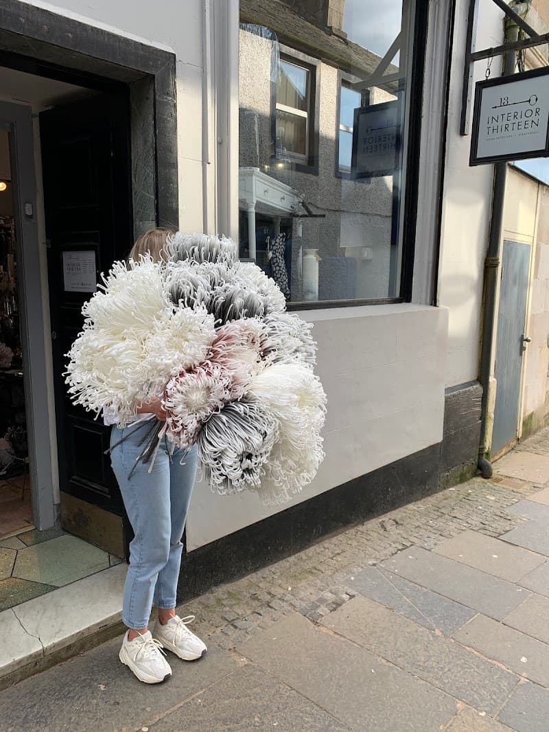 Lush Decor & Gifts Strathaven photo