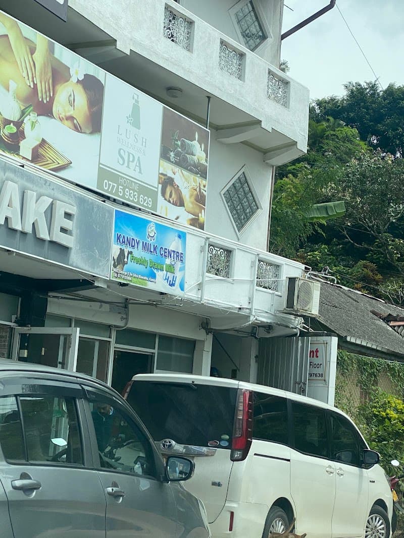 Lush Spa And Wellness Kandy photo