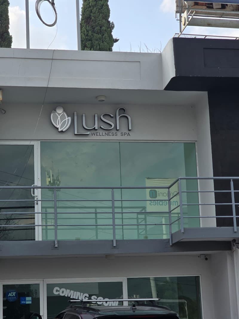 Lush Wellness Spa Monterrey photo