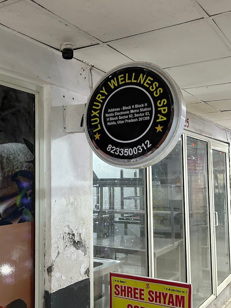 Luxury Wellness Spa in Noida Delhi photo