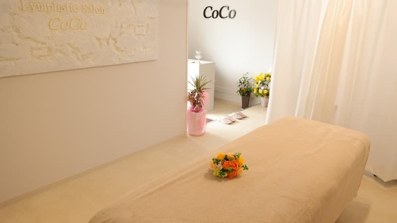 Lymphaticsaloncoco Ogi City photo