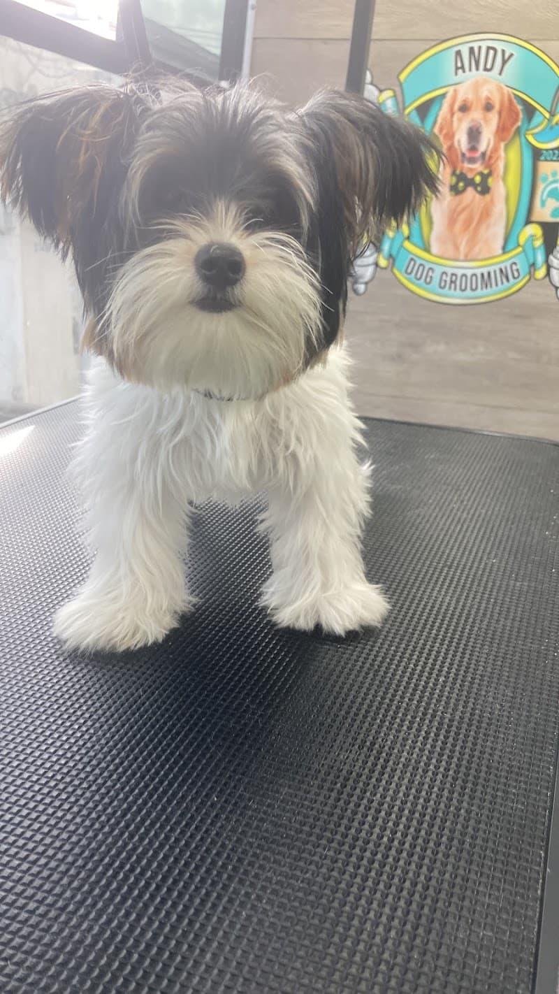 M & C Beauty Salon El Paso photo