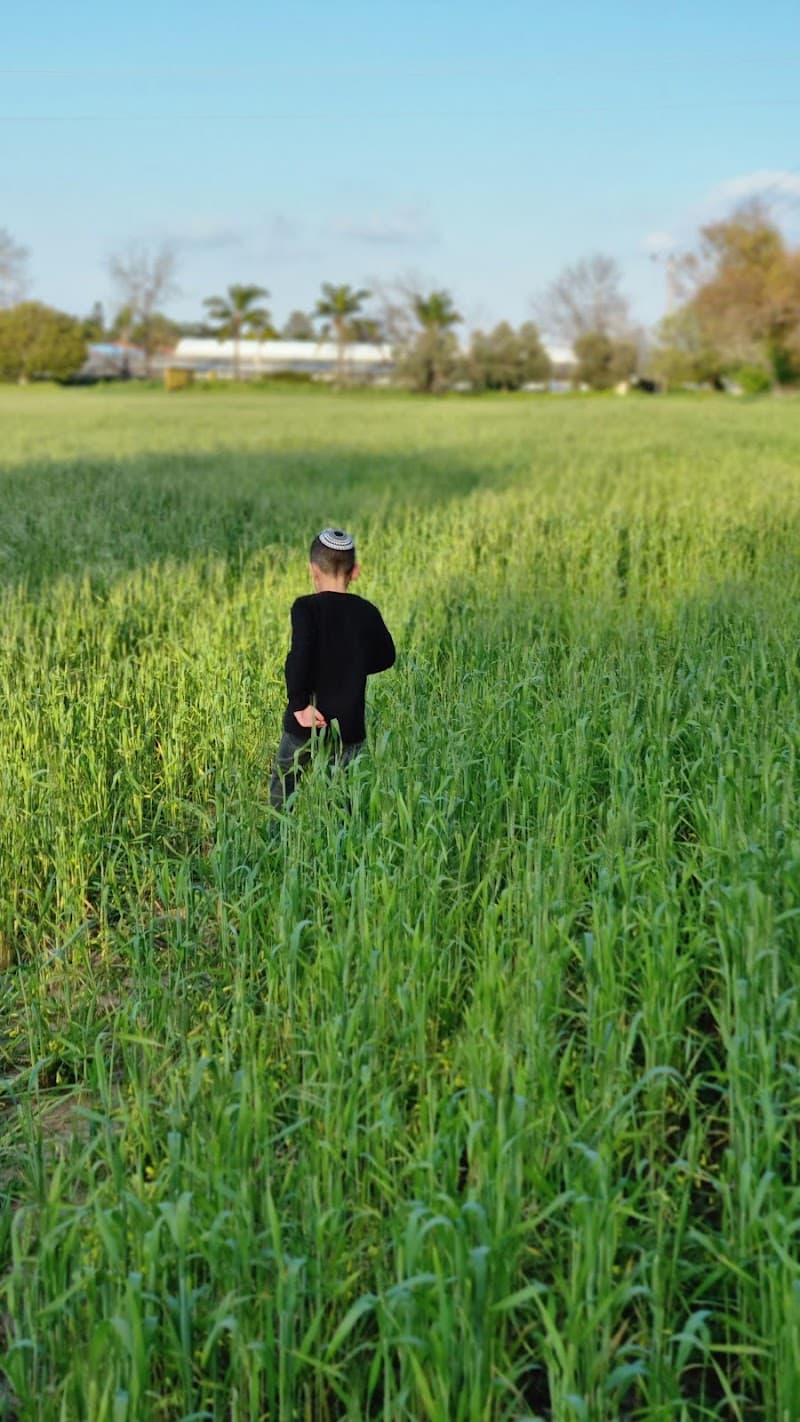 Ma'ayanah Hof HaSharon Regional Council photo