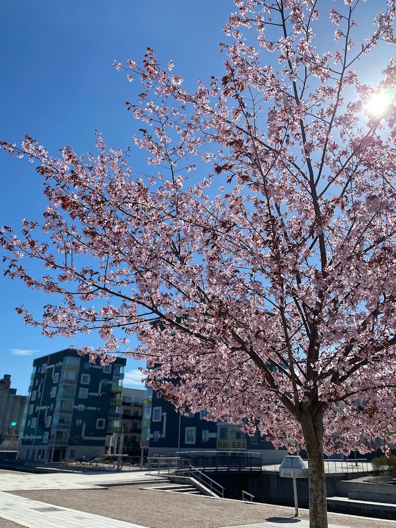 Magasin 29 Skönhet och Spa Gävleborg photo