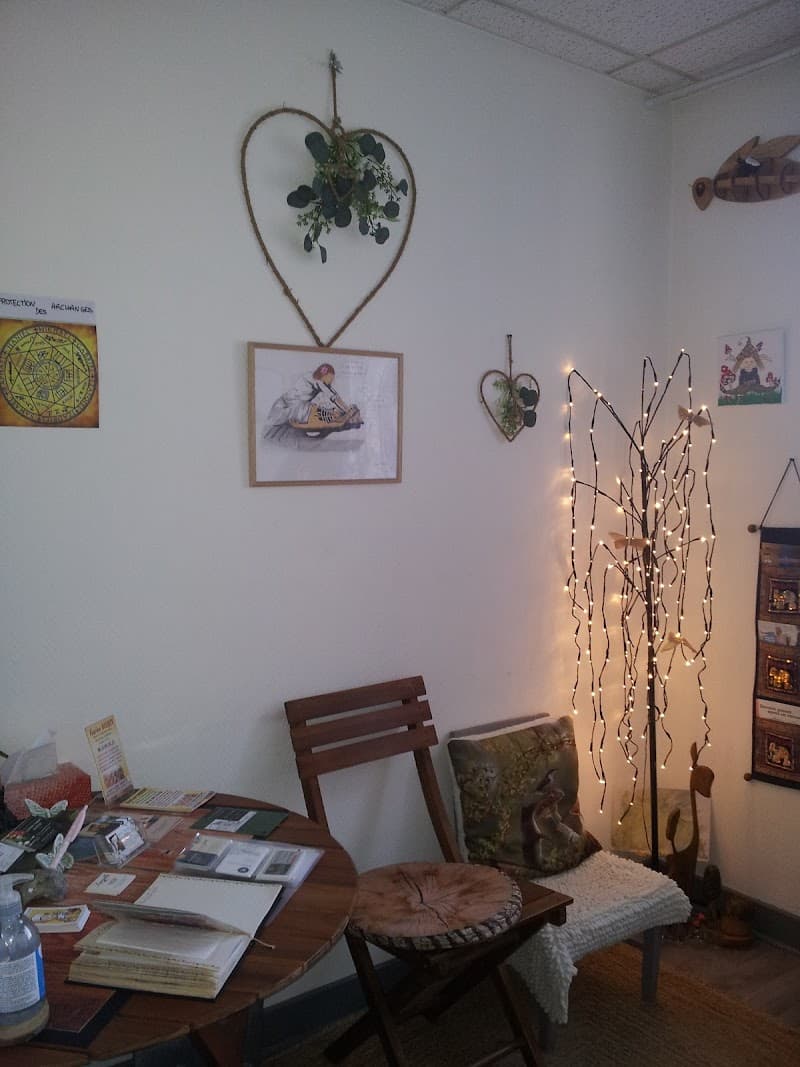 Magnétiseur-rebouteux Troyes photo