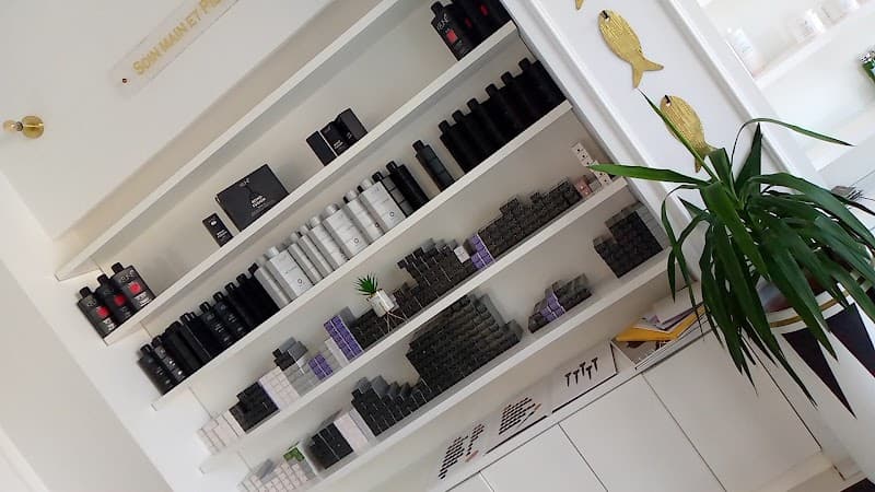 Maison du professionnel Djerba Tunis photo