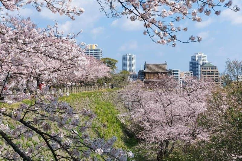 Maizuru Onsen Stand Fukuoka City Chuo Ward photo