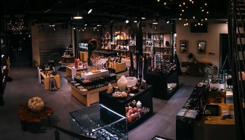 Maleia Chihuahua photo