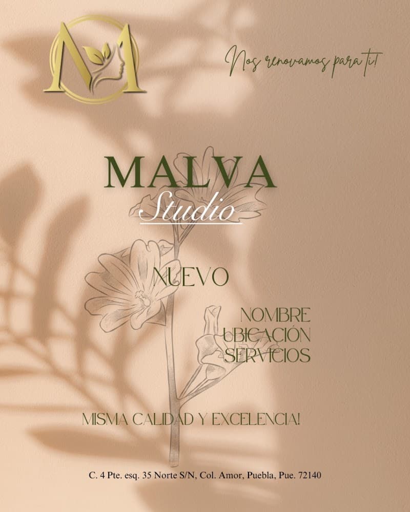 Malva Studio Puebla photo