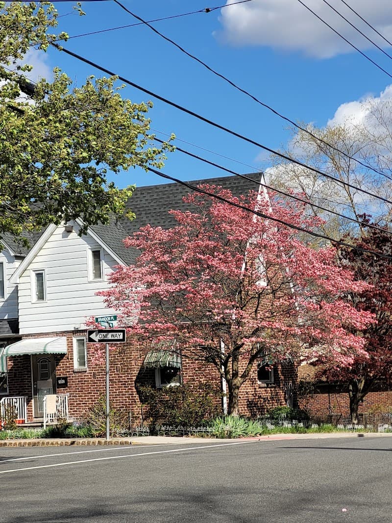 ManCure Cliffside Park photo
