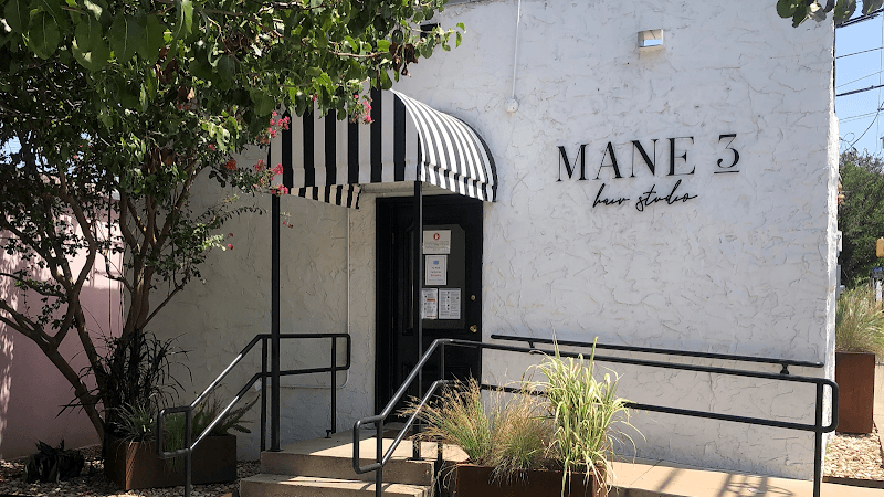 Mane Trendz Austin photo