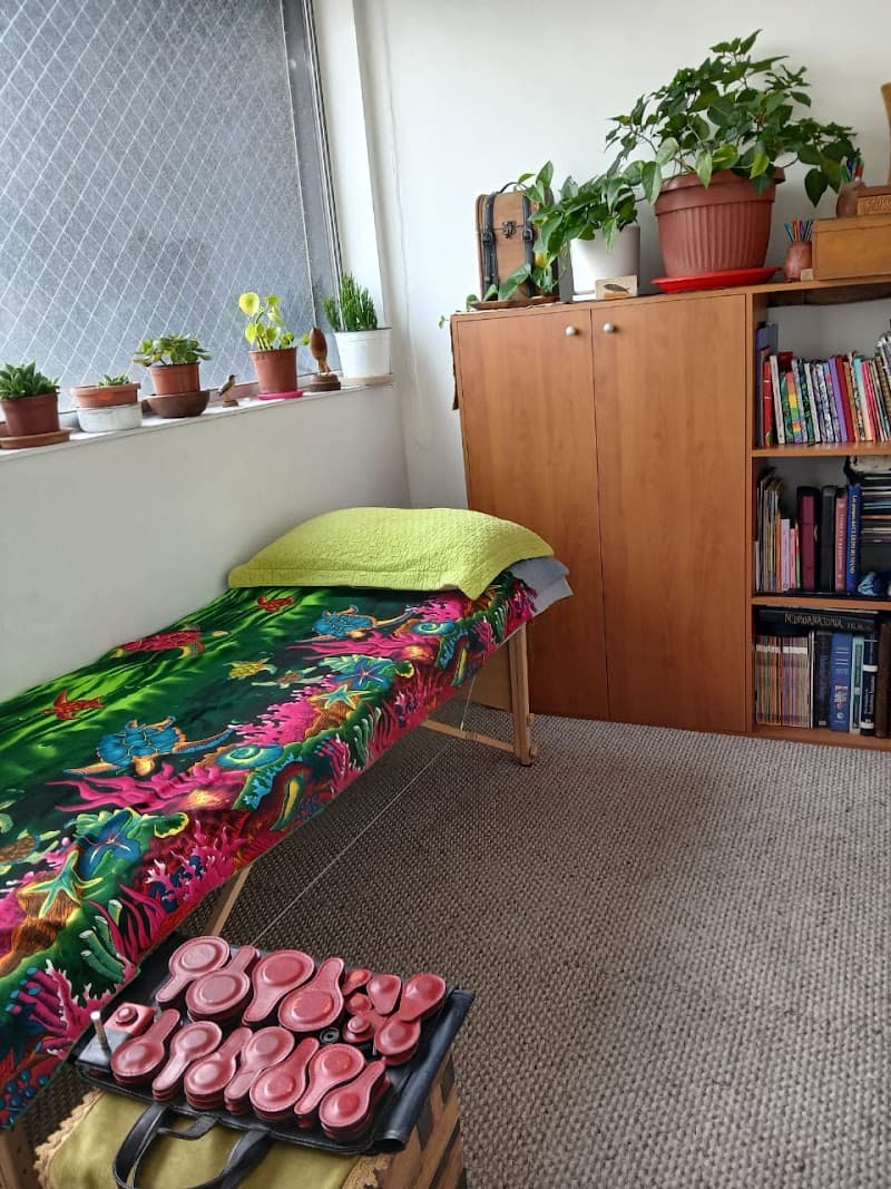 Manglar, Centro De Terapias Alternativas Y Spa Ñuñoa photo