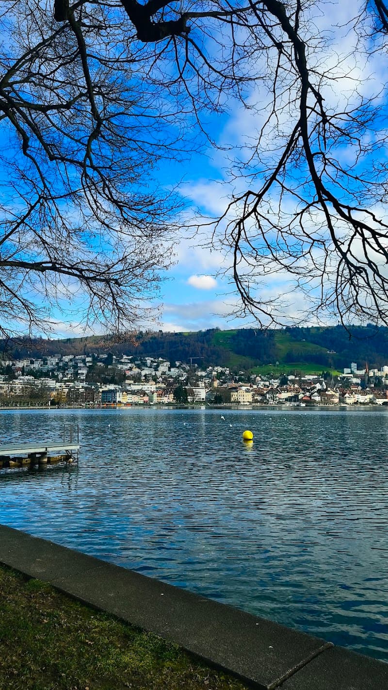 Männerbadi Zug photo