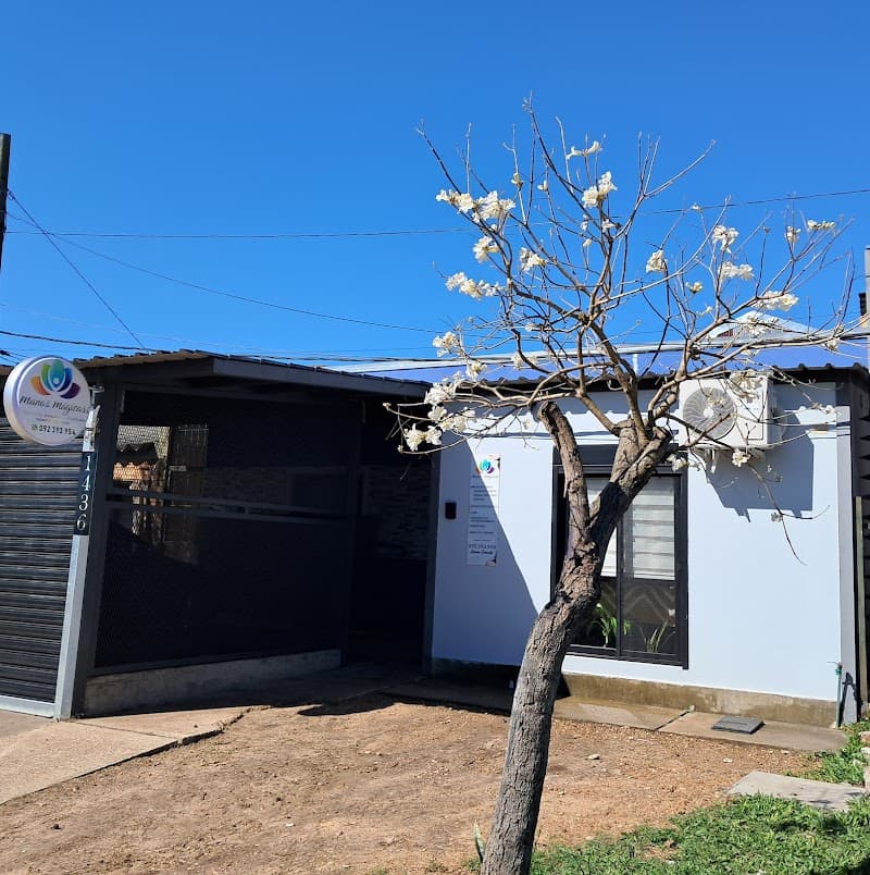 Manos Curativas By Ana Chavez Lavalleja photo