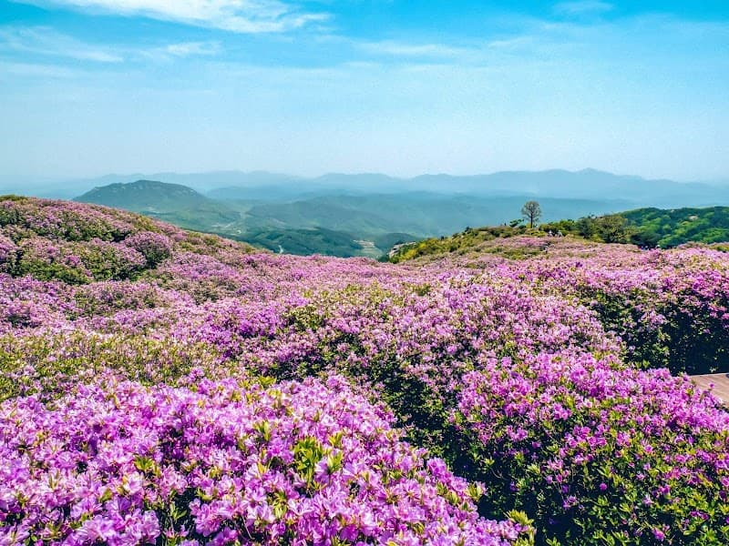Mansutang Hapcheon-ri photo