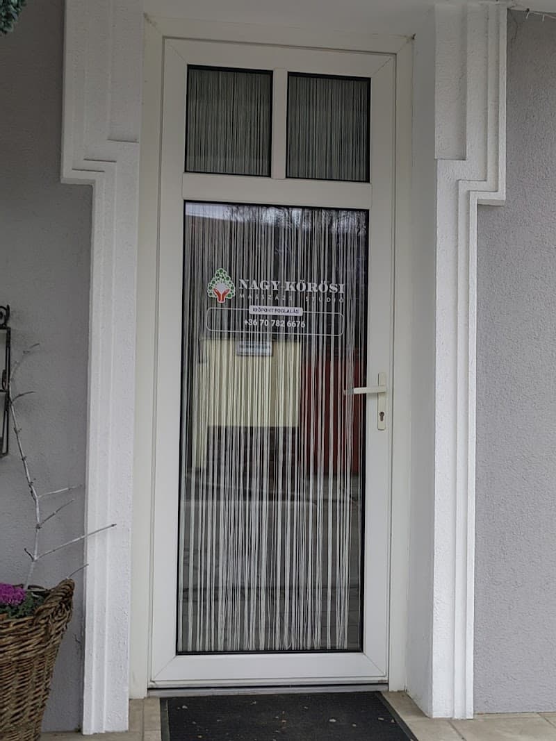Manuális kezelés és masszázs Nagykőrösön photo