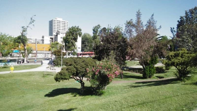 Maphel Maipú photo