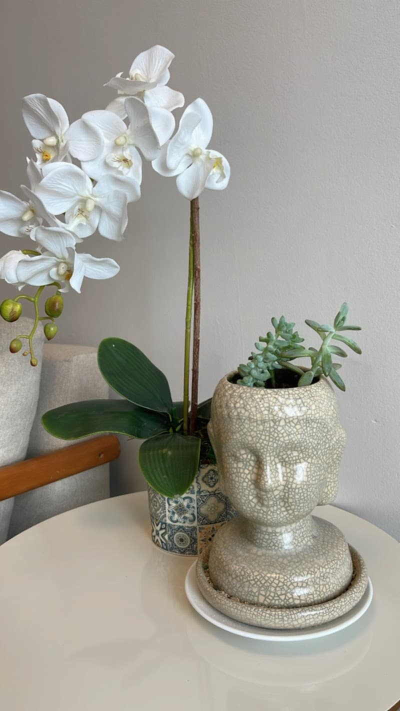 Mara Martorelli Massoterapia São Caetano do Sul photo