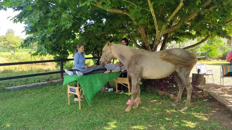 Lajeado marciabildhauergraeff photo