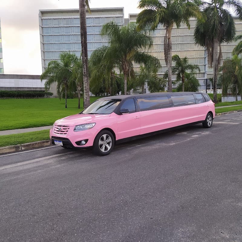 Mariage Spa Kids Jaboatão dos Guararapes photo