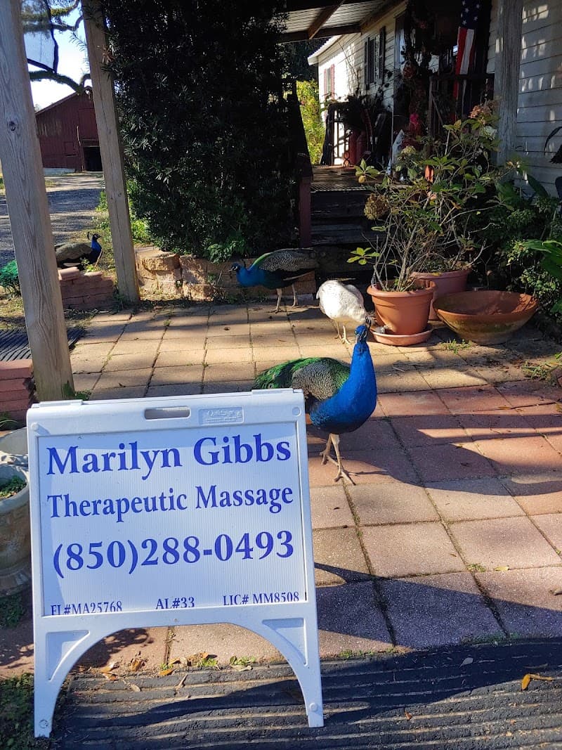 Marilyn Gibbs Therapeutic Massage Pensacola photo