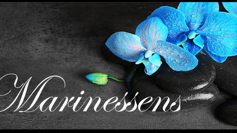 Marinessens Albi photo