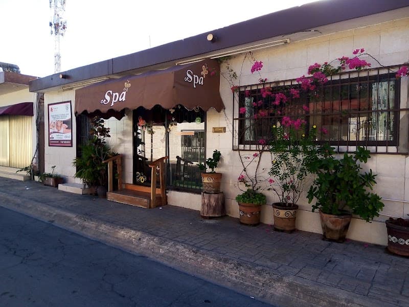 Maryposas Spa Arts and Healing Cozumel photo