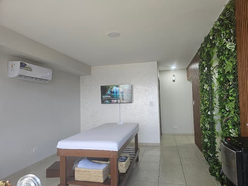 Masajeador terapeutico Santa Cruz de la Sierra photo