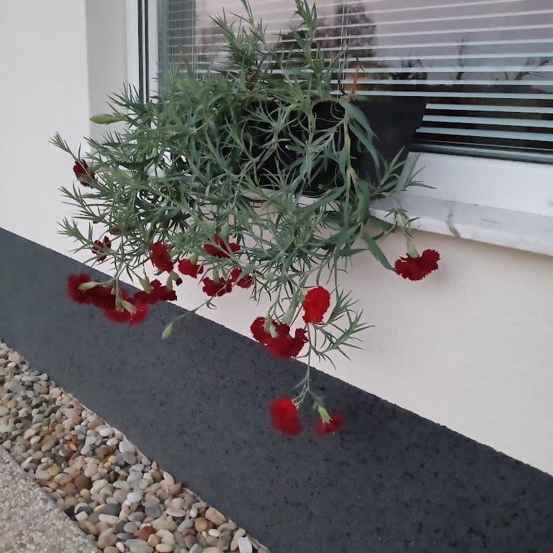 Masažni in lepotni studio Metka Podčetrtek photo