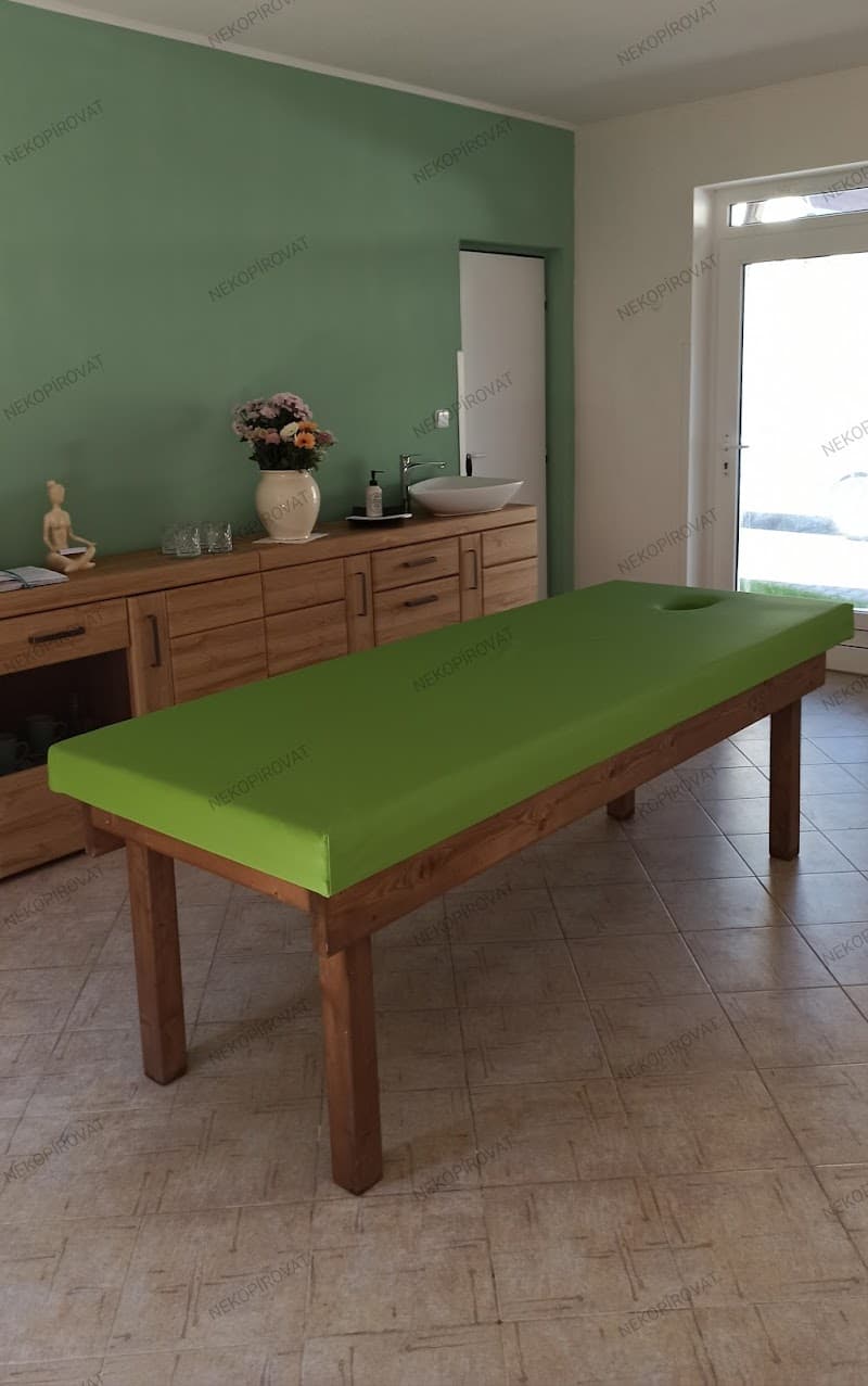 Masážní salon Radka Plzeň photo