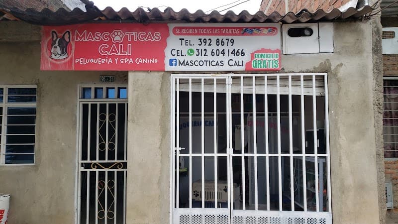 Mascoticas cali Cali photo