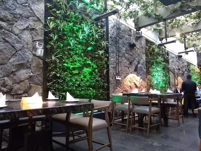 Mashom Mexico City photo